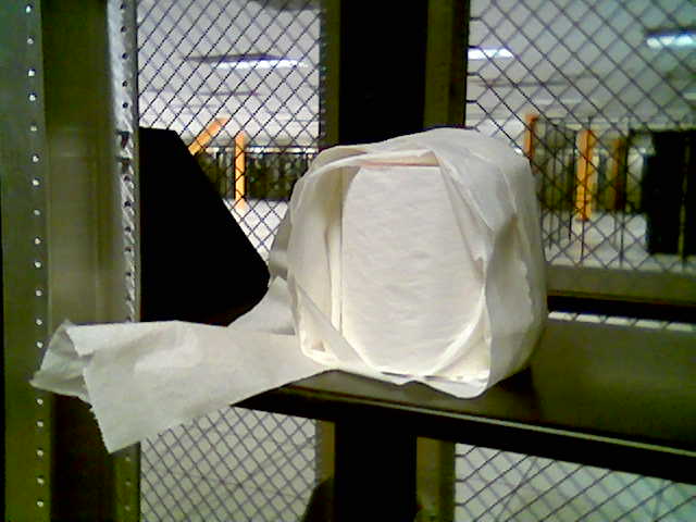 TP FOR MY BUNGHOLE! roll of toilet paper