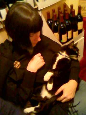 harunoame with black and white kitty, wine bottles in the background
